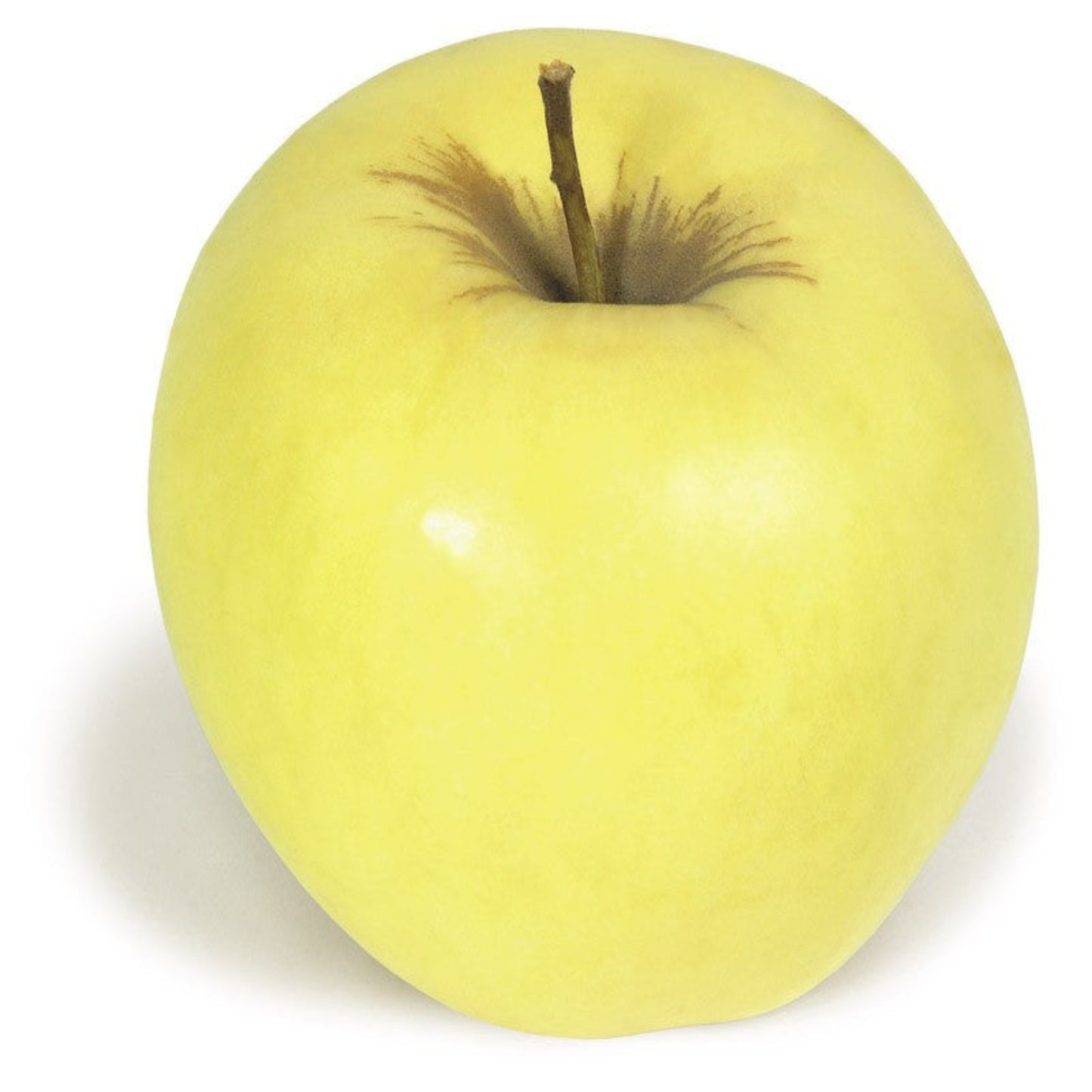 Golden alma