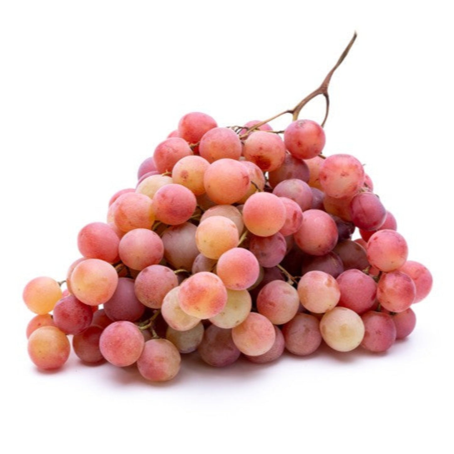 Rosé csemege szőlő