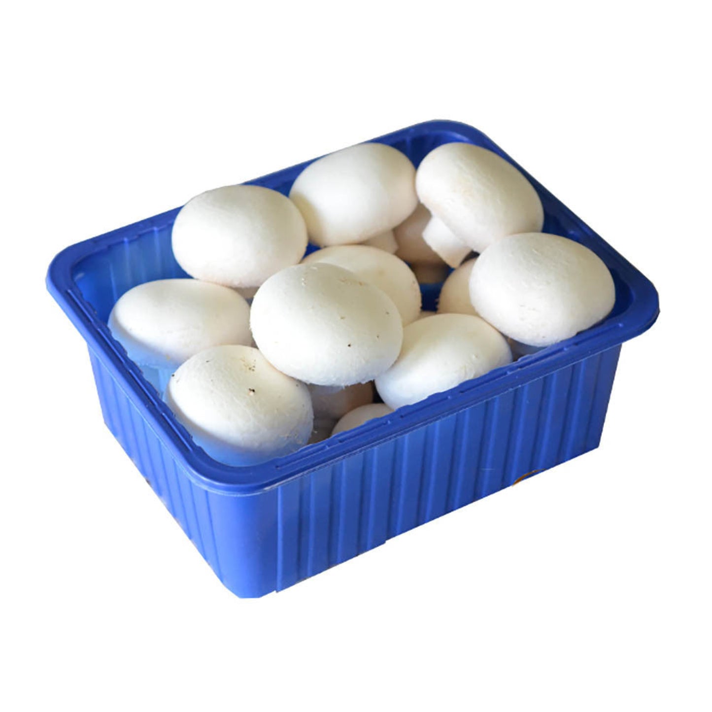 Termesztett gomba csiperke 500g