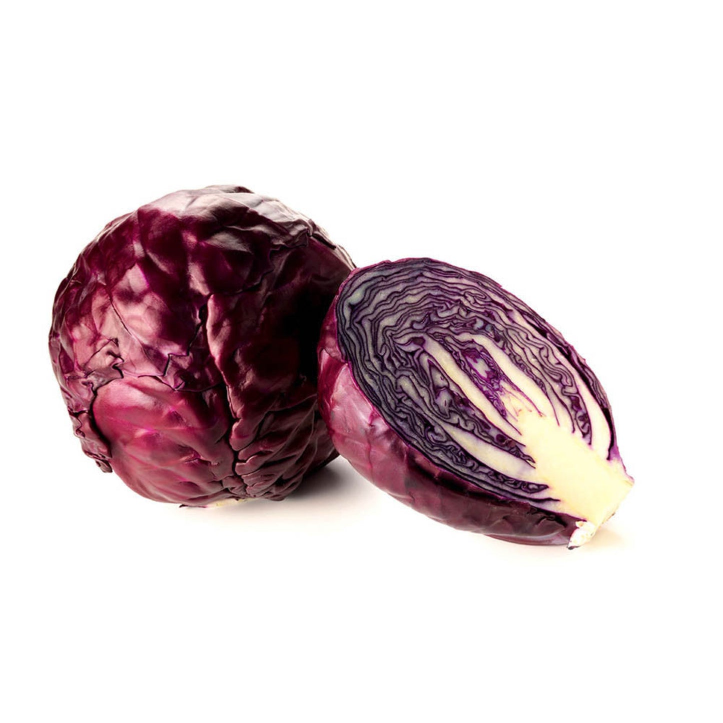 Vöröskáposzta / Lilakáposzta