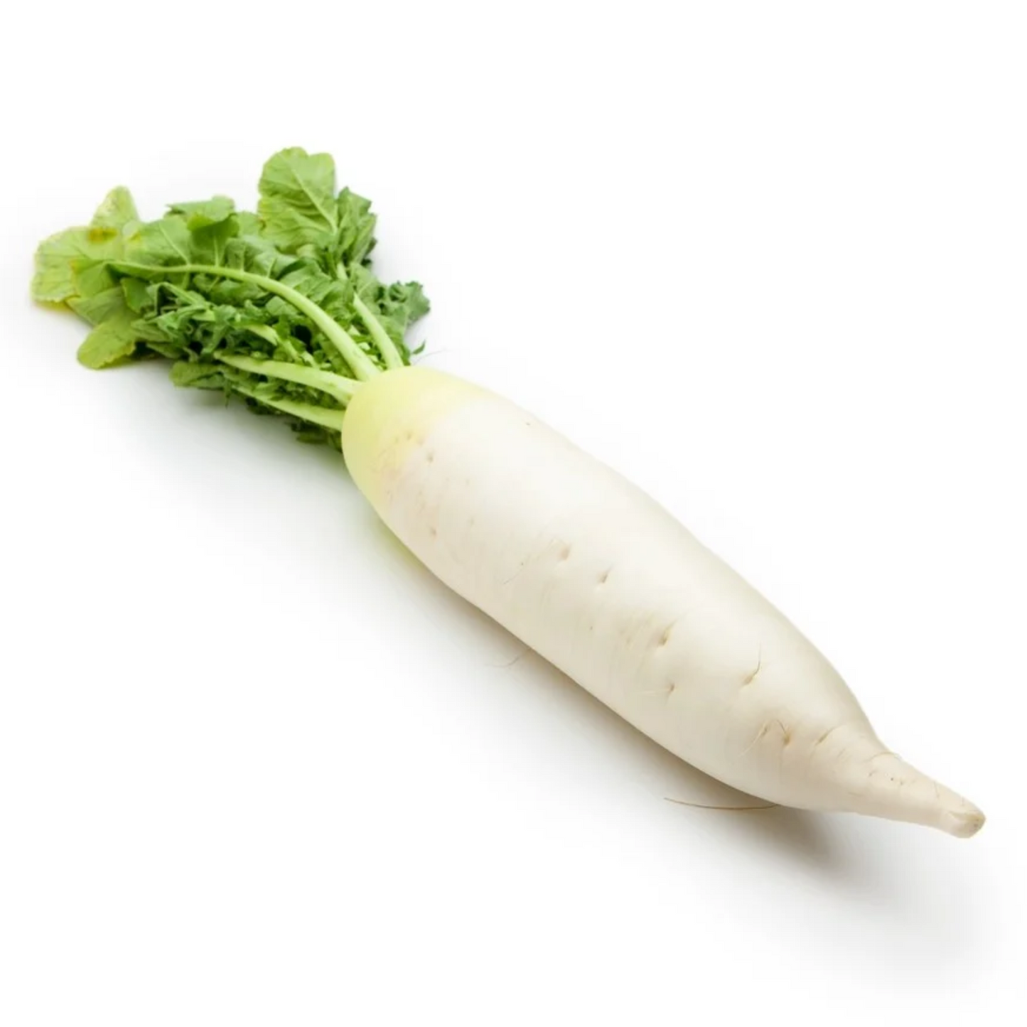 Jégcsap retek kg-os