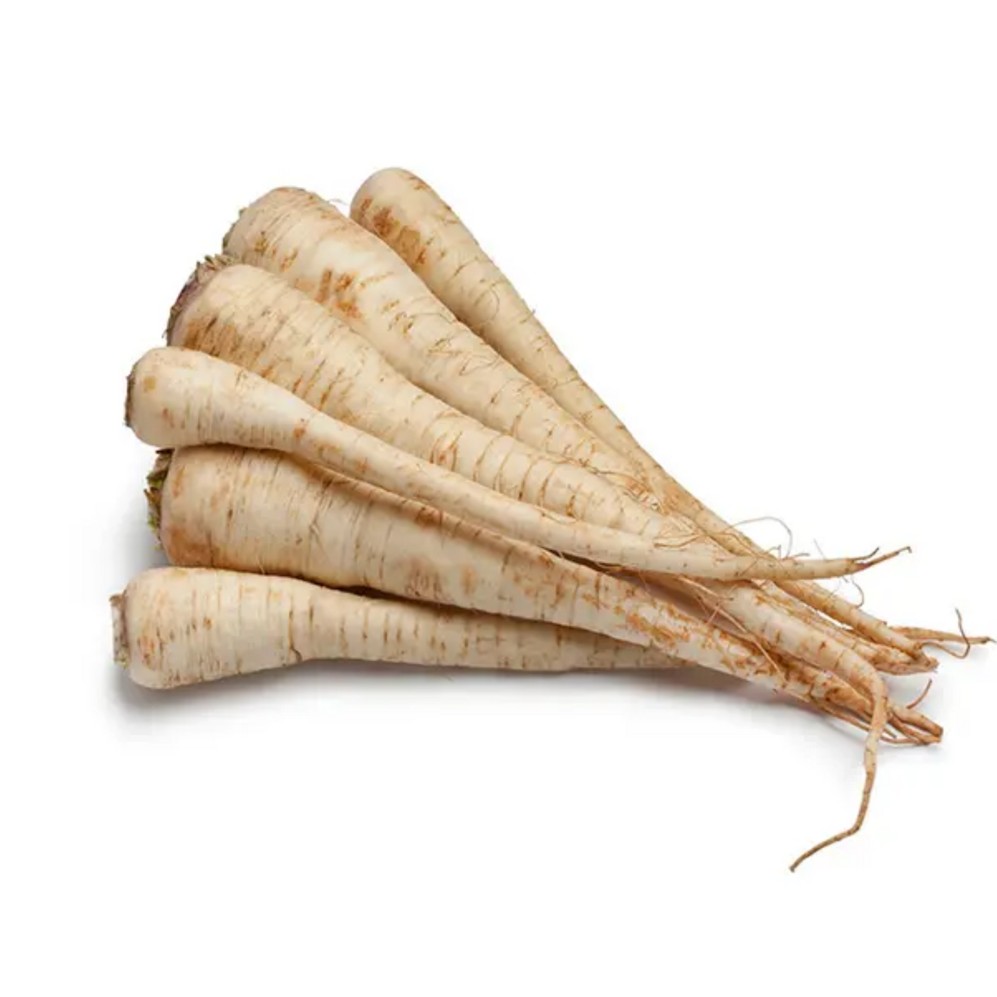 Petrezselyemgyökér