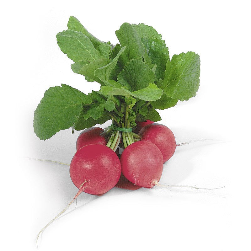 Hónapos retek csomós