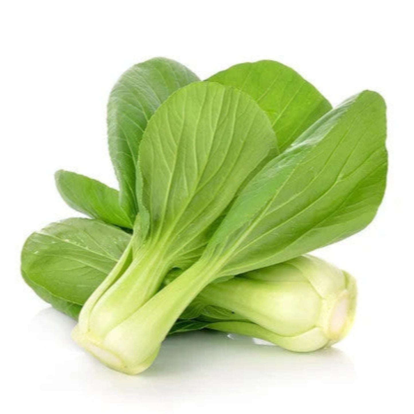Pak Choi / Bordáskel
