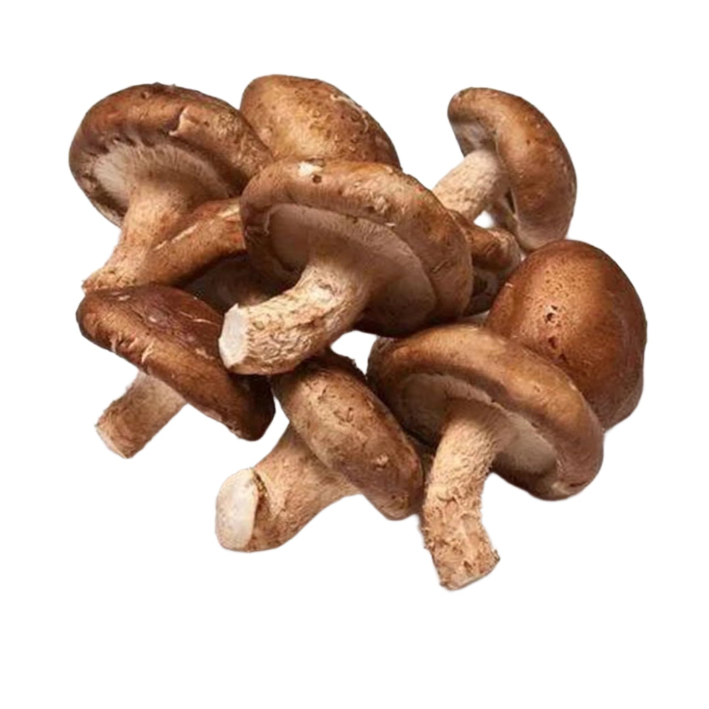 Shiitake gomba 300g