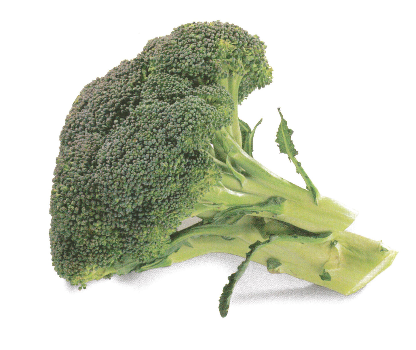 Brokkoli