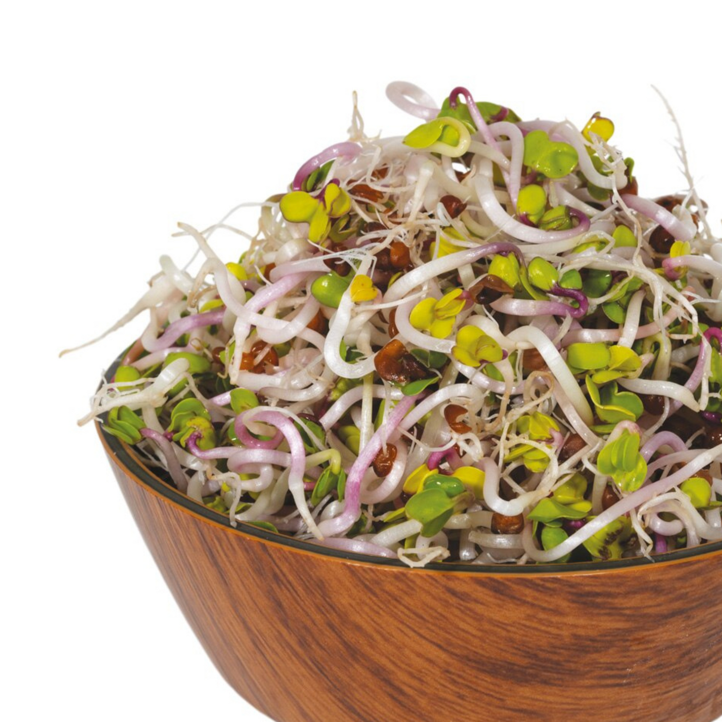 Bio brokkoli csíra 50g