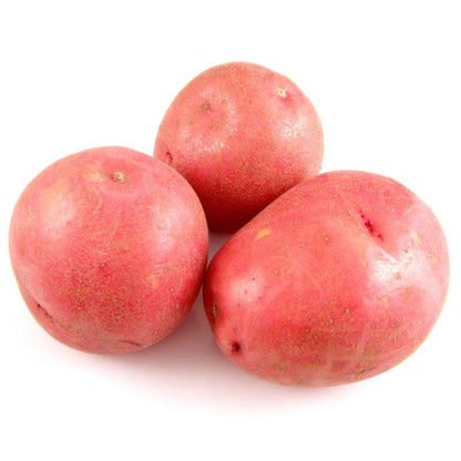 Újburgonya piros