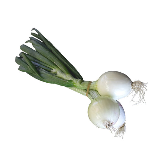 Főzőhagyma csomós