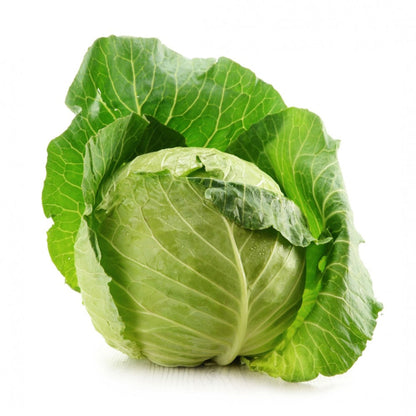Fejeskáposzta Új