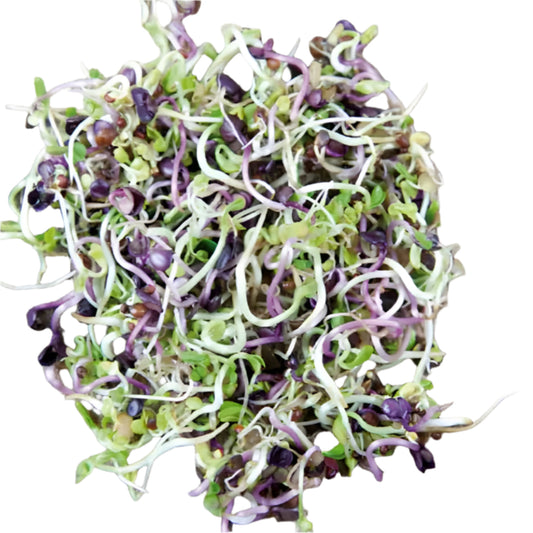 Vegyes csíra 50g