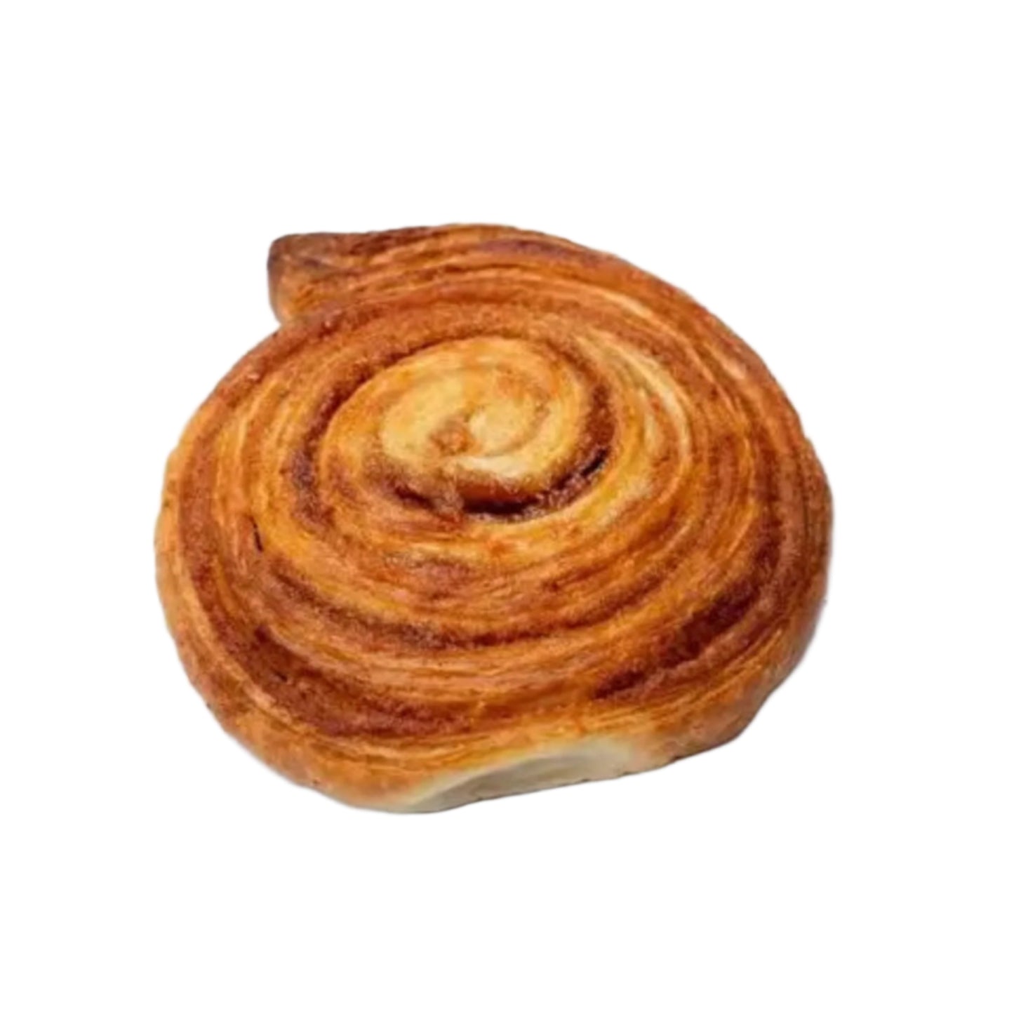 Fahéjas csiga